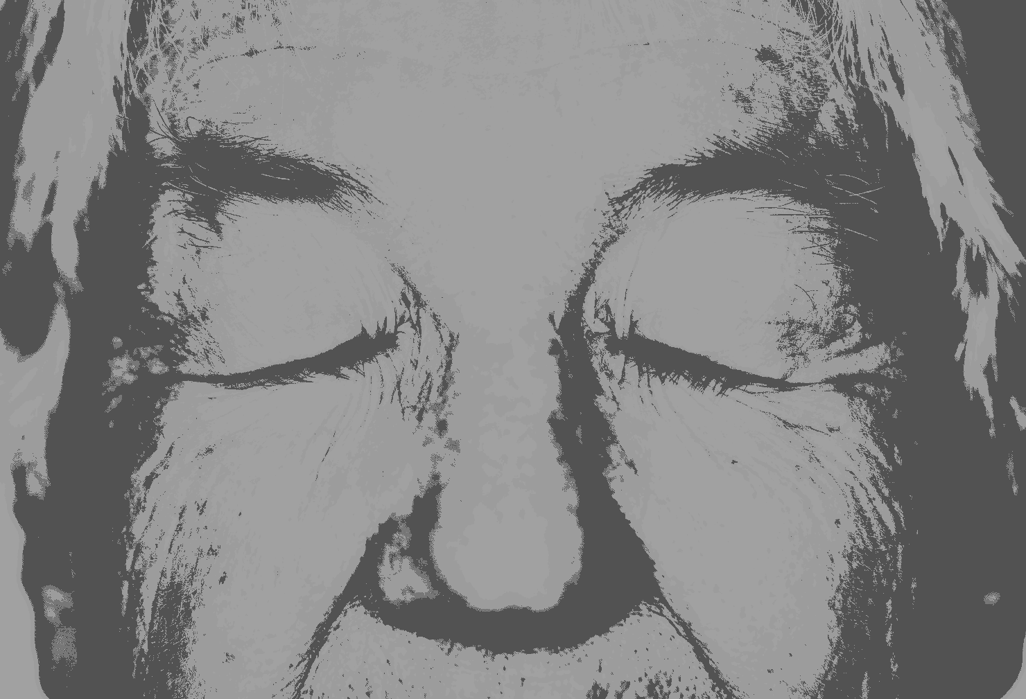 The Truth About Aging No One Tells You The KNEW Method